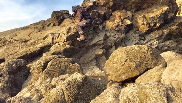 28575608_10160121230315247_1401394308730227667_n (1).jpg