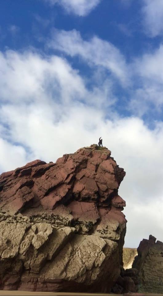 28660943_10160121238075247_650787376536293952_n