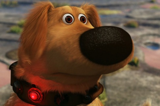 11-up-dog-distraction.w529.h352